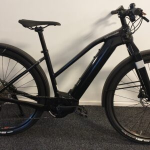 Cannondale Canvas Neo 1