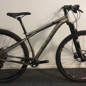 Van Nicholas Revelstoke DEMO